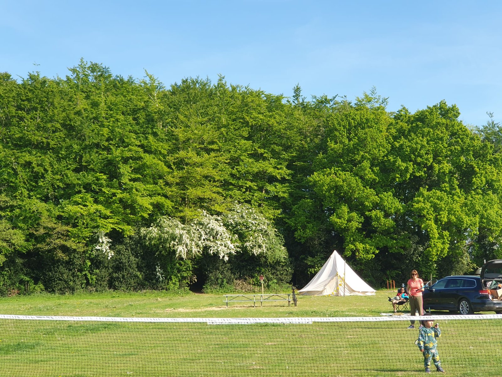 Woodland campsite